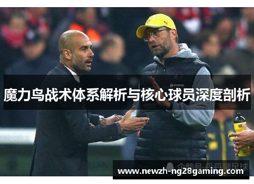 魔力鸟战术体系解析与核心球员深度剖析