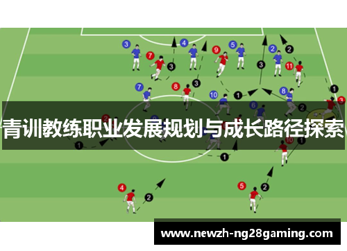 青训教练职业发展规划与成长路径探索