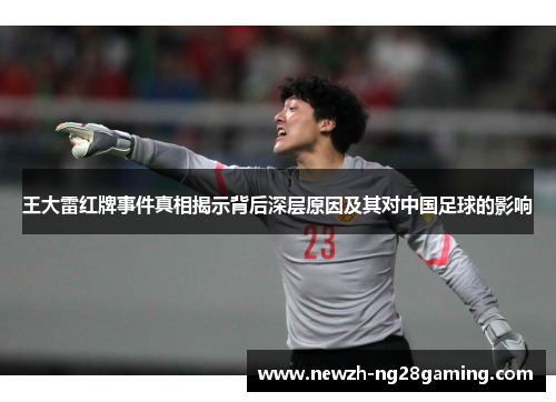王大雷红牌事件真相揭示背后深层原因及其对中国足球的影响