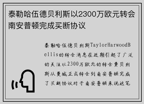 泰勒哈伍德贝利斯以2300万欧元转会南安普顿完成买断协议 泰勒哈伍德贝利斯以2300万欧元转会南安普顿完成买断协议